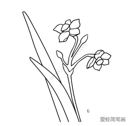 美丽的水仙花简笔画