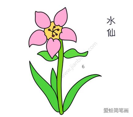 漂亮的水仙花简笔画