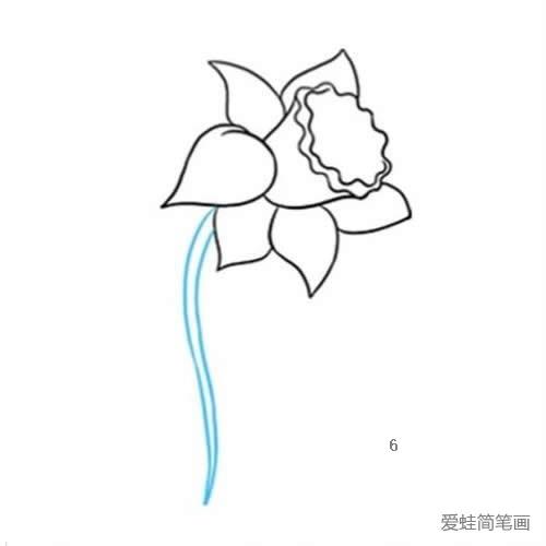 一朵黄水仙花简笔画