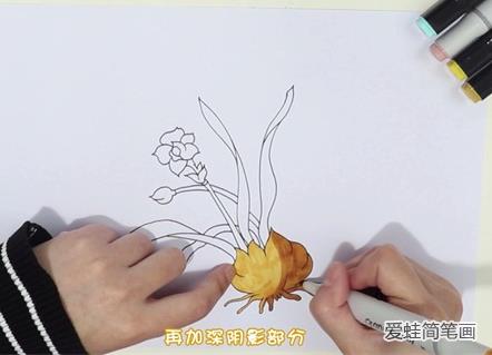 水仙花简笔画