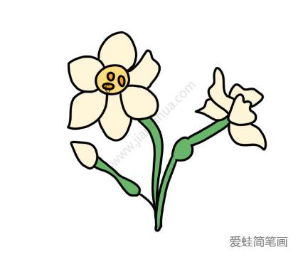 素雅的水仙花简笔画