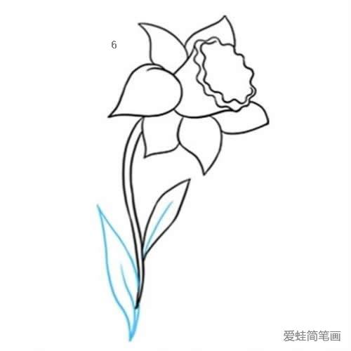 一朵黄水仙花简笔画