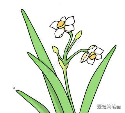 美丽的水仙花简笔画