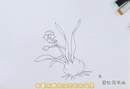 水仙花简笔画