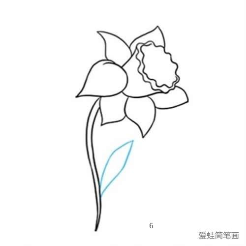 一朵黄水仙花简笔画