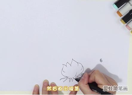 水仙花简笔画