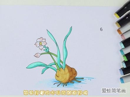 水仙花简笔画