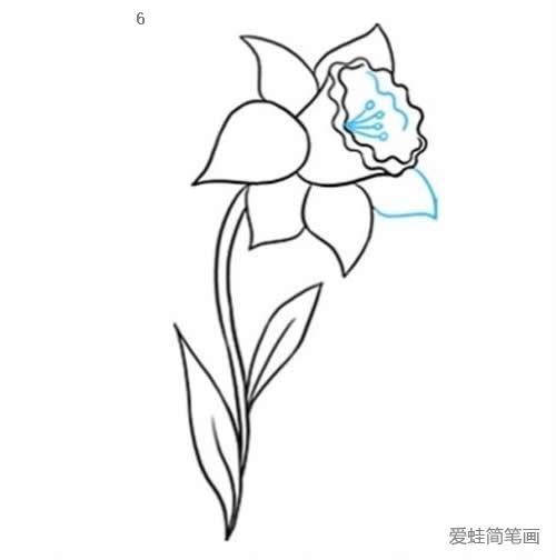 一朵黄水仙花简笔画