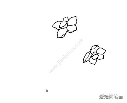 美丽的水仙花简笔画