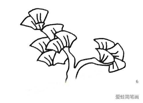 银杏树简笔画