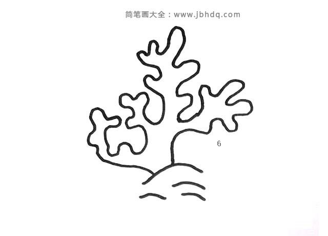 6张海洋植物简笔画图片