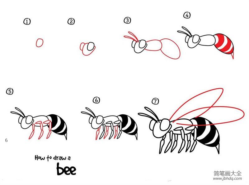 如何画蜜蜂 蜜蜂简笔画教程