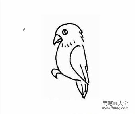 鹦鹉的简笔画大全