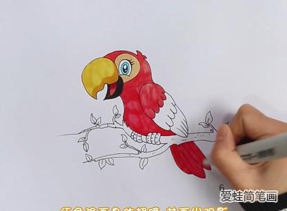 鹦鹉简笔画