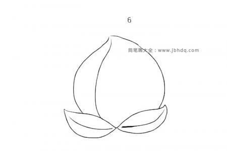 水蜜桃简笔画图片