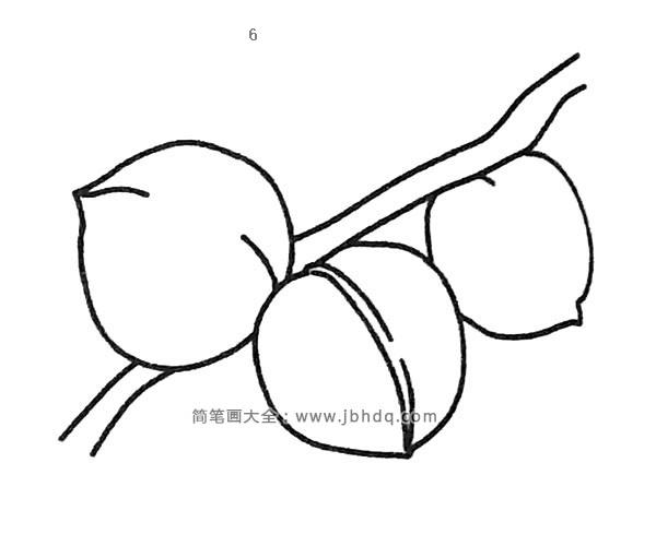 简单四步画桃子