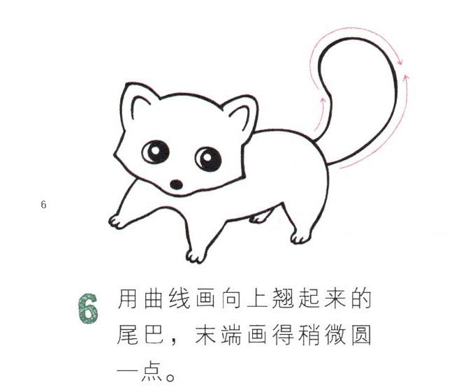 小浣熊动物简笔画图片